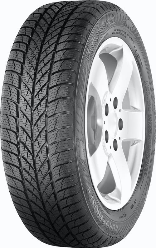 Gislaved EURO FROST 5 195/65 R15 91H