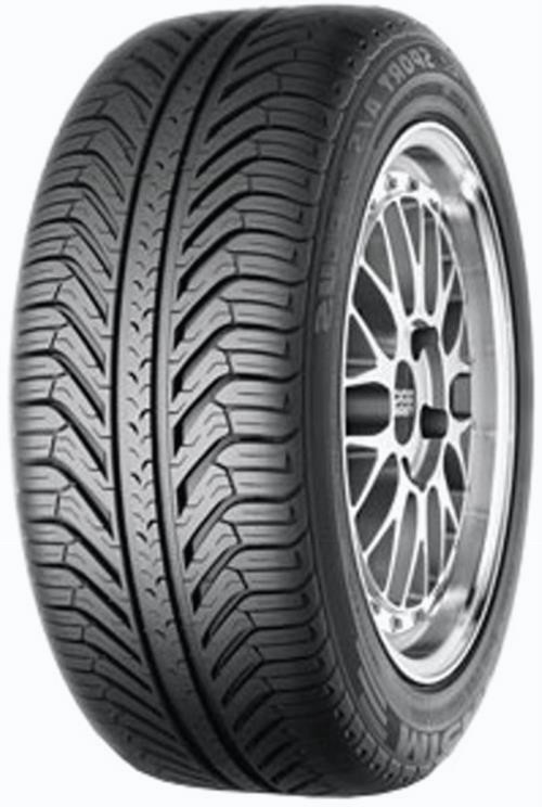 Michelin PILOT SPORT A/S PLUS 255/45 R19 100V