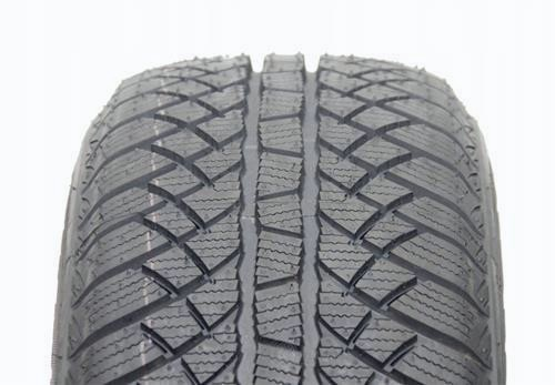 Autogreen WINTERMAX U1-WL2 195/65 R15 91H